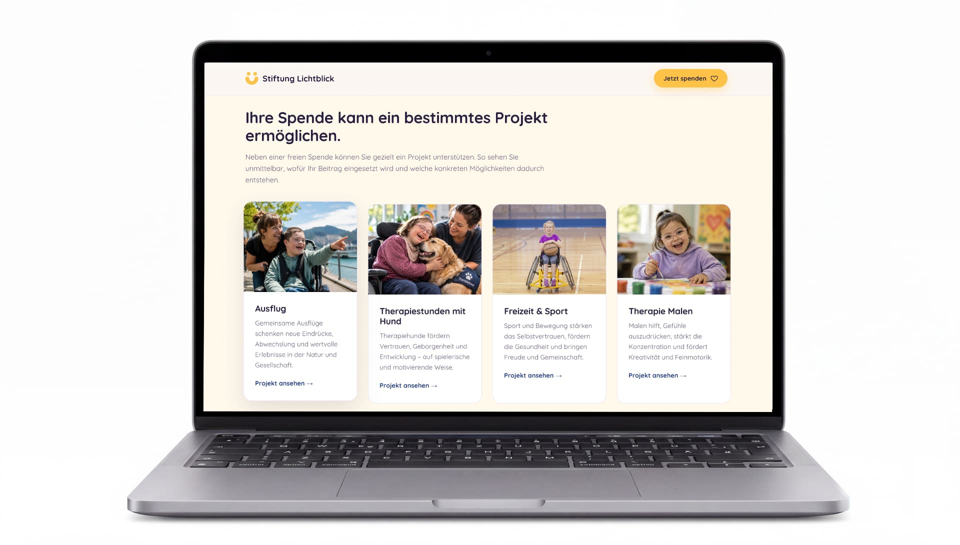 Projektübersicht der Spendenwebsite